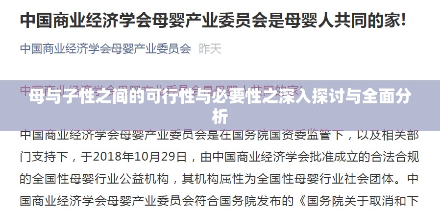 母与子性之间的可行性与必要性之深入探讨与全面分析