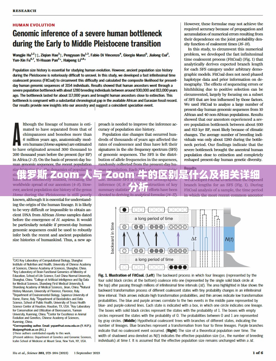 俄罗斯 Zoom 人与 Zoom 牛的区别是什么及相关详细分析