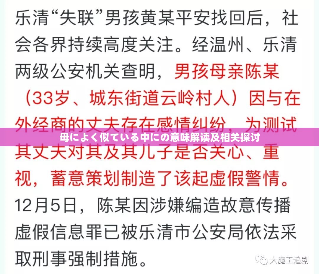 母によく似ている中にの意味解读及相关探讨