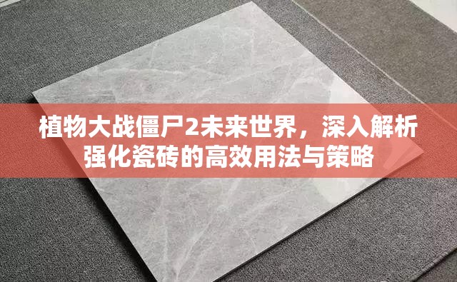 植物大战僵尸2未来世界，深入解析强化瓷砖的高效用法与策略