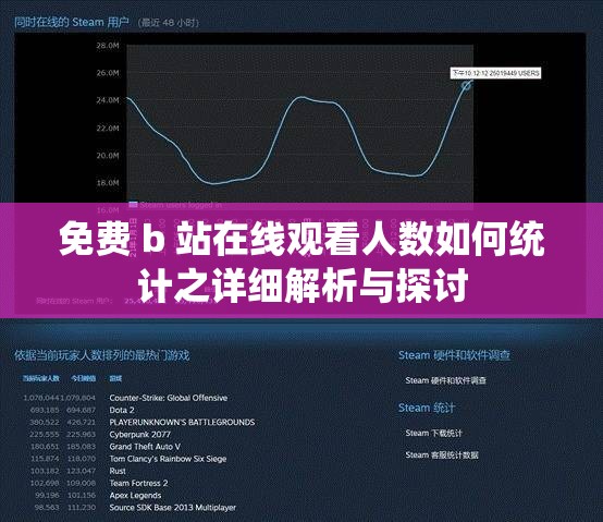 免费 b 站在线观看人数如何统计之详细解析与探讨