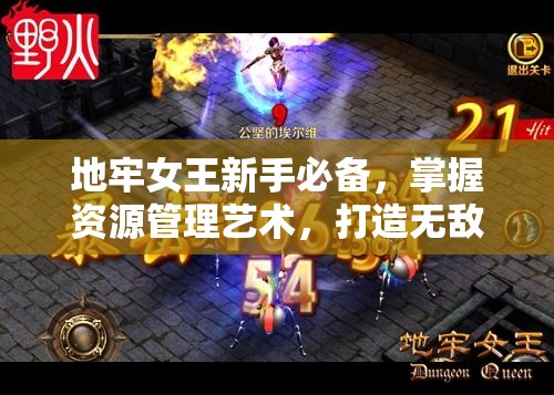 地牢女王新手必备，掌握资源管理艺术，打造无敌冒险之旅