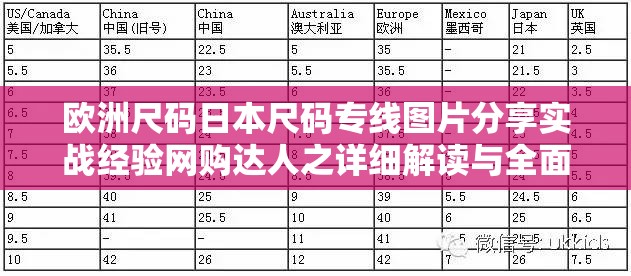 欧洲尺码日本尺码专线图片分享实战经验网购达人之详细解读与全面剖析
