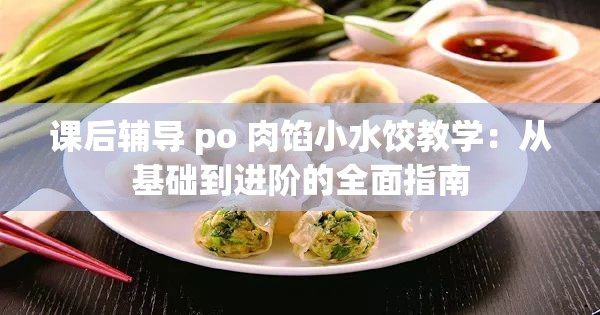 课后辅导 po 肉馅小水饺教学：从基础到进阶的全面指南