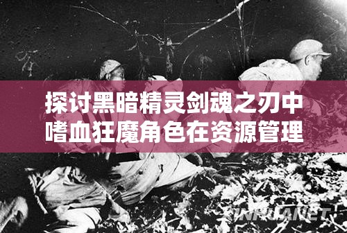 探讨黑暗精灵剑魂之刃中嗜血狂魔角色在资源管理上的核心重要性及实战策略