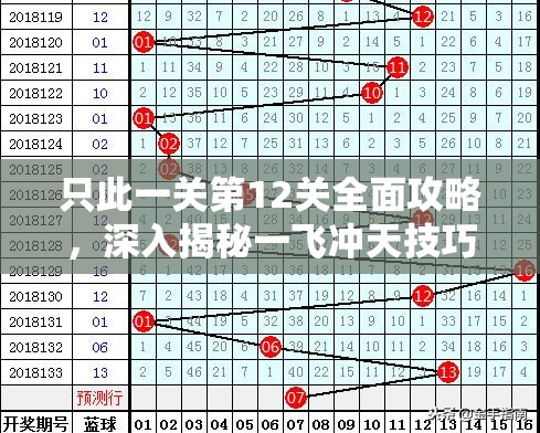 只此一关第12关全面攻略，深入揭秘一飞冲天技巧与成功奥秘