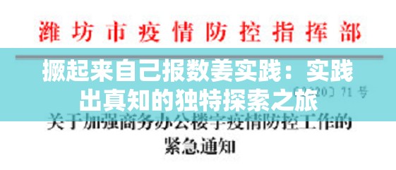 撅起来自己报数姜实践：实践出真知的独特探索之旅