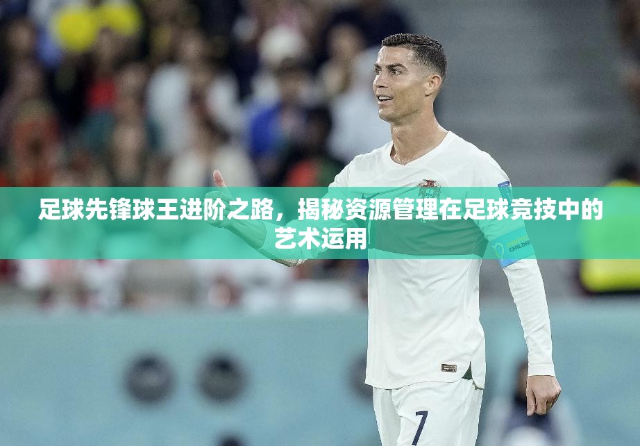 足球先锋球王进阶之路，揭秘资源管理在足球竞技中的艺术运用