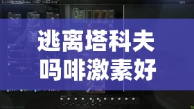 逃离塔科夫吗啡激素好用吗：对游戏角色的具体影响及使用分析
