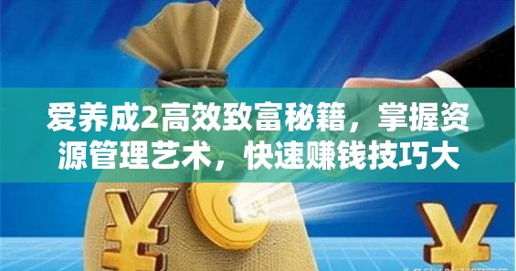 爱养成2高效致富秘籍，掌握资源管理艺术，快速赚钱技巧大公开