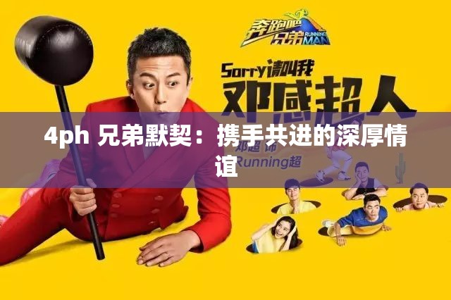 4ph 兄弟默契：携手共进的深厚情谊