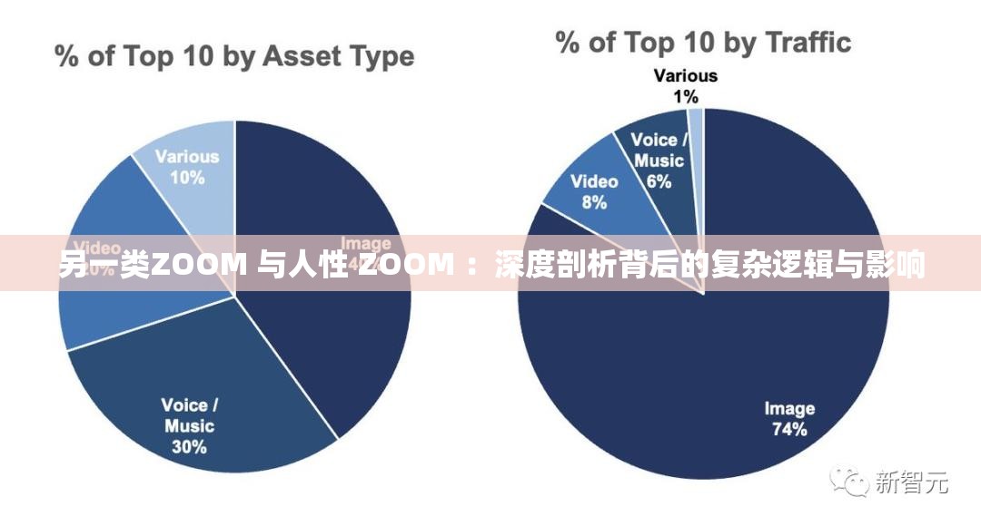 另一类ZOOM 与人性 ZOOM ：深度剖析背后的复杂逻辑与影响
