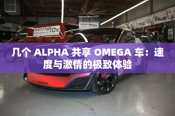 几个 ALPHA 共享 OMEGA 车：速度与激情的极致体验
