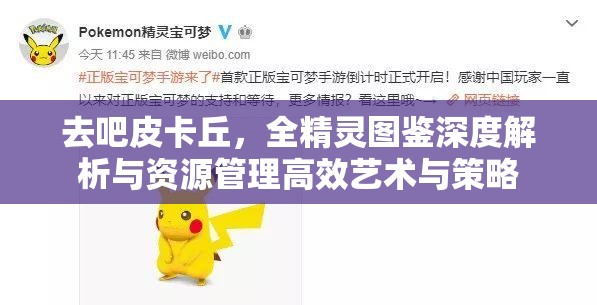去吧皮卡丘，全精灵图鉴深度解析与资源管理高效艺术与策略