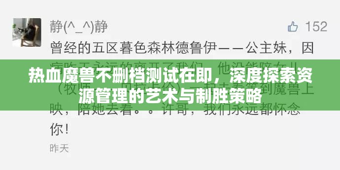 热血魔兽不删档测试在即，深度探索资源管理的艺术与制胜策略