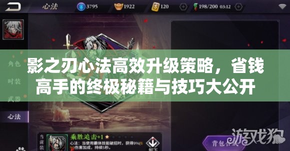影之刃心法高效升级策略，省钱高手的终极秘籍与技巧大公开