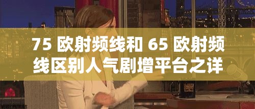 75 欧射频线和 65 欧射频线区别人气剧增平台之详细对比与分析