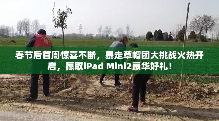 春节后首周惊喜不断，暴走草帽团大挑战火热开启，赢取iPad Mini2豪华好礼！