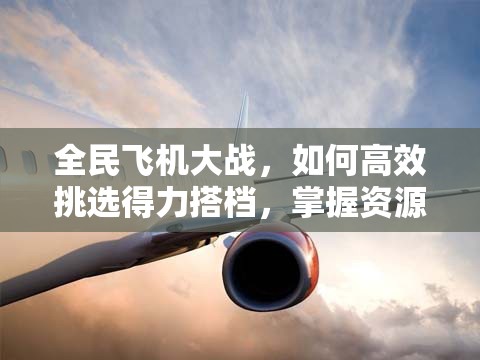 全民飞机大战，如何高效挑选得力搭档，掌握资源管理、技巧与制胜策略