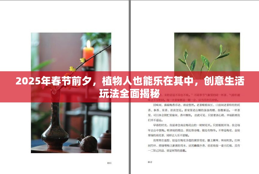 2025年春节前夕，植物人也能乐在其中，创意生活玩法全面揭秘
