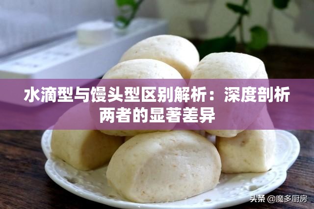 水滴型与馒头型区别解析：深度剖析两者的显著差异