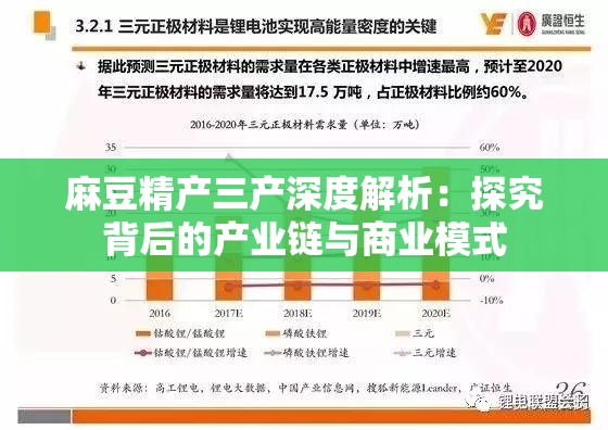 麻豆精产三产深度解析：探究背后的产业链与商业模式