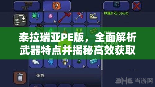泰拉瑞亚PE版，全面解析武器特点并揭秘高效获取秘籍