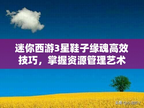 迷你西游3星鞋子缘魂高效技巧，掌握资源管理艺术，提升游戏实力