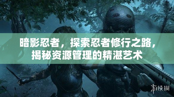 暗影忍者，探索忍者修行之路，揭秘资源管理的精湛艺术