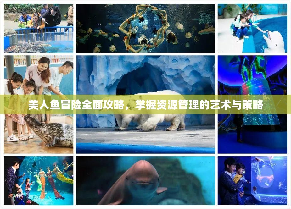 美人鱼冒险全面攻略，掌握资源管理的艺术与策略