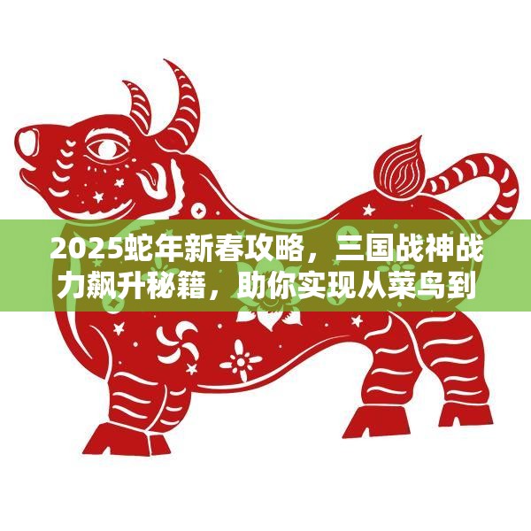 2025蛇年新春攻略，三国战神战力飙升秘籍，助你实现从菜鸟到战神的华丽蜕变