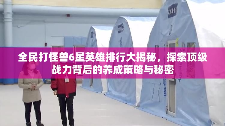 全民打怪兽6星英雄排行大揭秘，探索顶级战力背后的养成策略与秘密