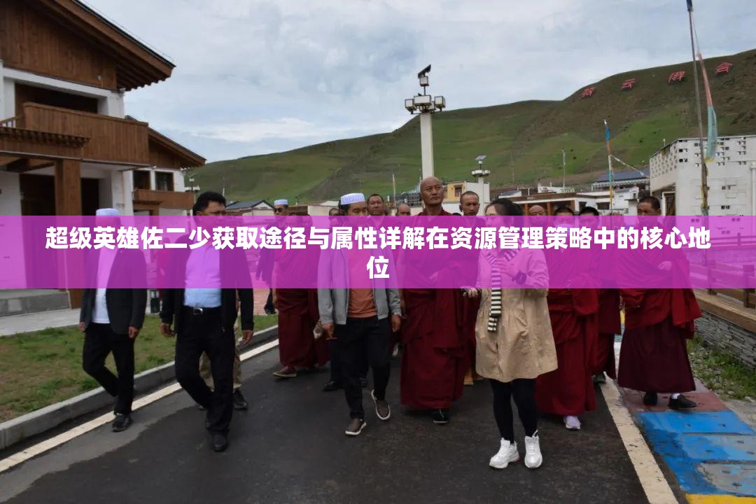 超级英雄佐二少获取途径与属性详解在资源管理策略中的核心地位