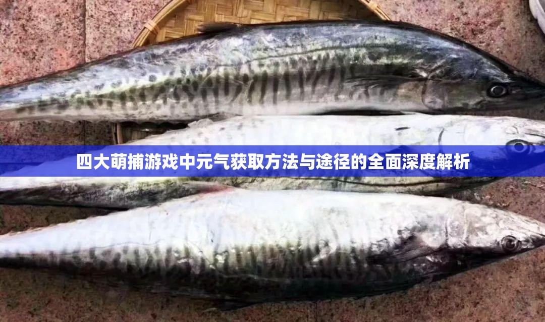 四大萌捕游戏中元气获取方法与途径的全面深度解析