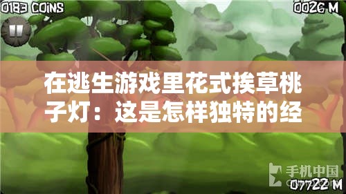 在逃生游戏里花式挨草桃子灯：这是怎样独特的经历呢