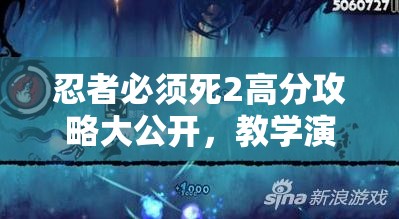 忍者必须死2高分攻略大公开，教学演示视频深度揭秘解锁秘籍