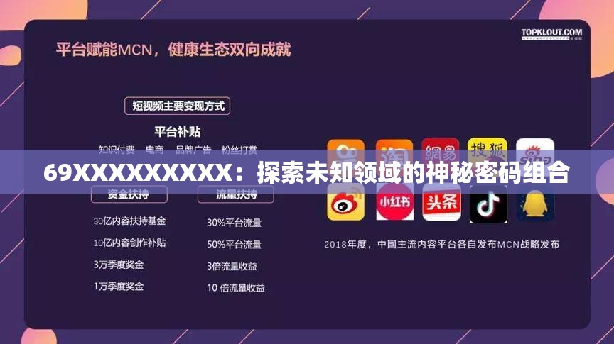 69XXXXXXXXX：探索未知领域的神秘密码组合