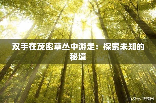 双手在茂密草丛中游走：探索未知的秘境