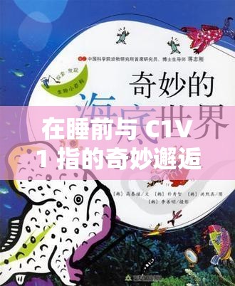 在睡前与 C1V1 指的奇妙邂逅与探索