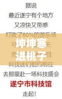 坤坤寒进桃子里在线看歌词：探寻其中的独特魅力与内涵