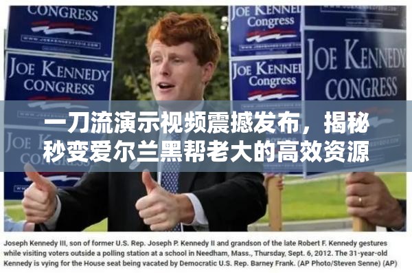 一刀流演示视频震撼发布，揭秘秒变爱尔兰黑帮老大的高效资源管理策略与艺术