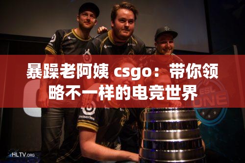 暴躁老阿姨 csgo：带你领略不一样的电竞世界