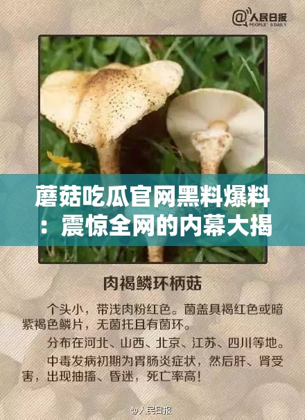 蘑菇吃瓜官网黑料爆料：震惊全网的内幕大揭秘
