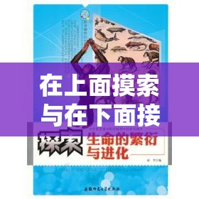 在上面摸索与在下面接触的奇妙探索