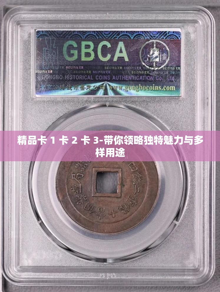 精品卡 1 卡 2 卡 3-带你领略独特魅力与多样用途