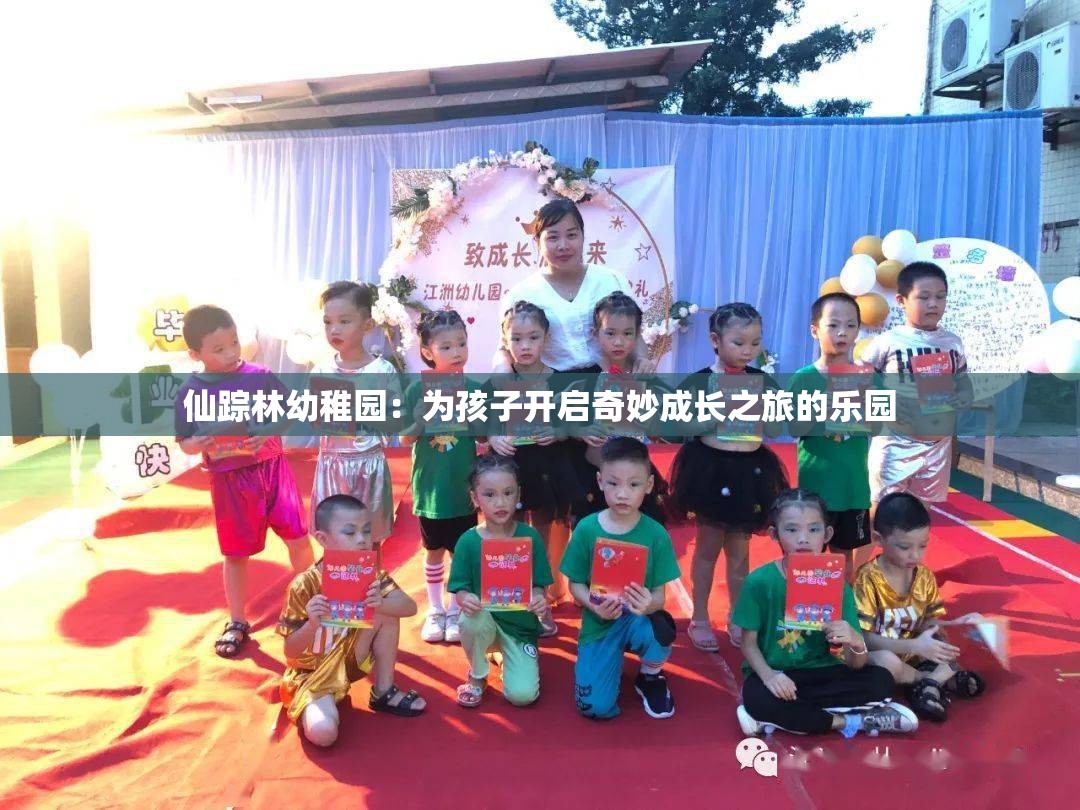 仙踪林幼稚园：为孩子开启奇妙成长之旅的乐园