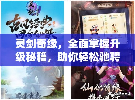 灵剑奇缘，全面掌握升级秘籍，助你轻松驰骋2025蛇年仙侠奇幻世界