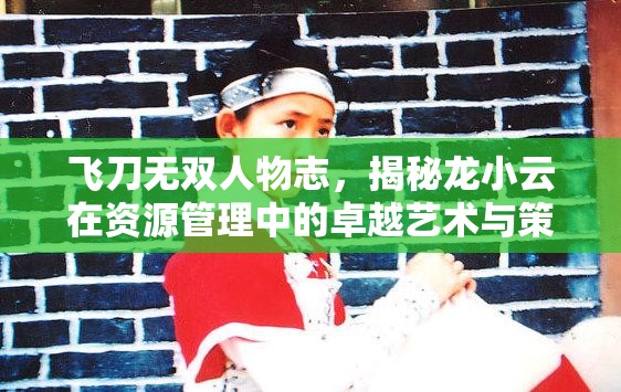 飞刀无双人物志，揭秘龙小云在资源管理中的卓越艺术与策略