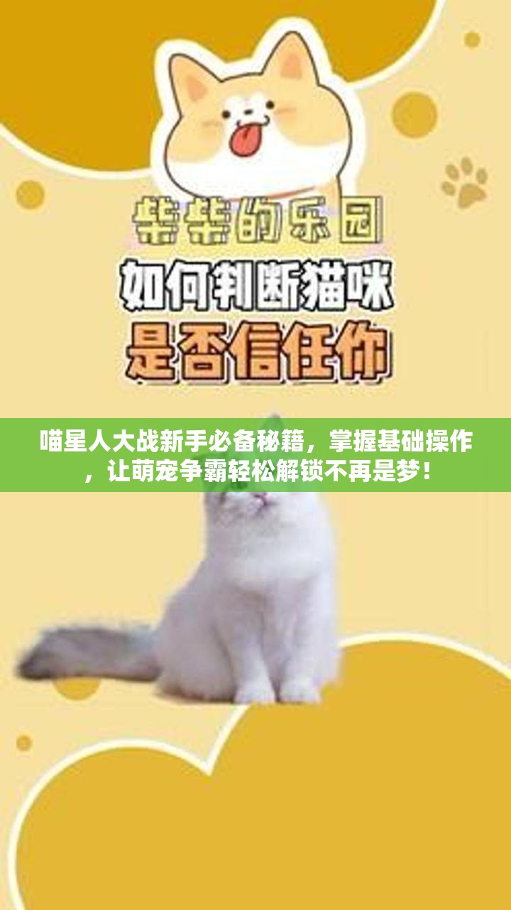 喵星人大战新手必备秘籍，掌握基础操作，让萌宠争霸轻松解锁不再是梦！