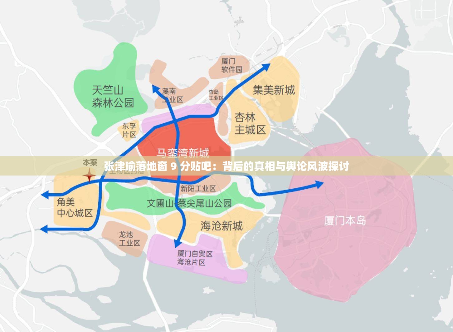 张津瑜落地窗 9 分贴吧：背后的真相与舆论风波探讨